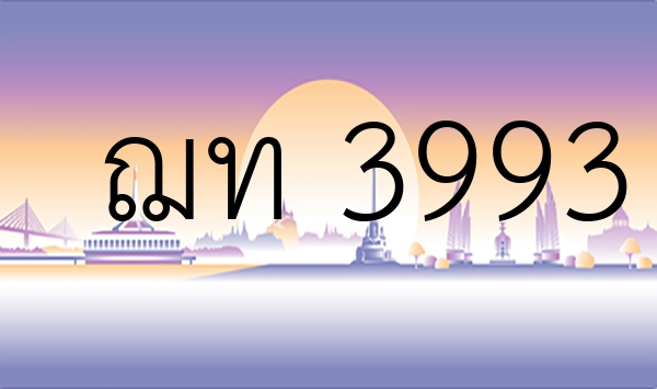 ฌท 3993